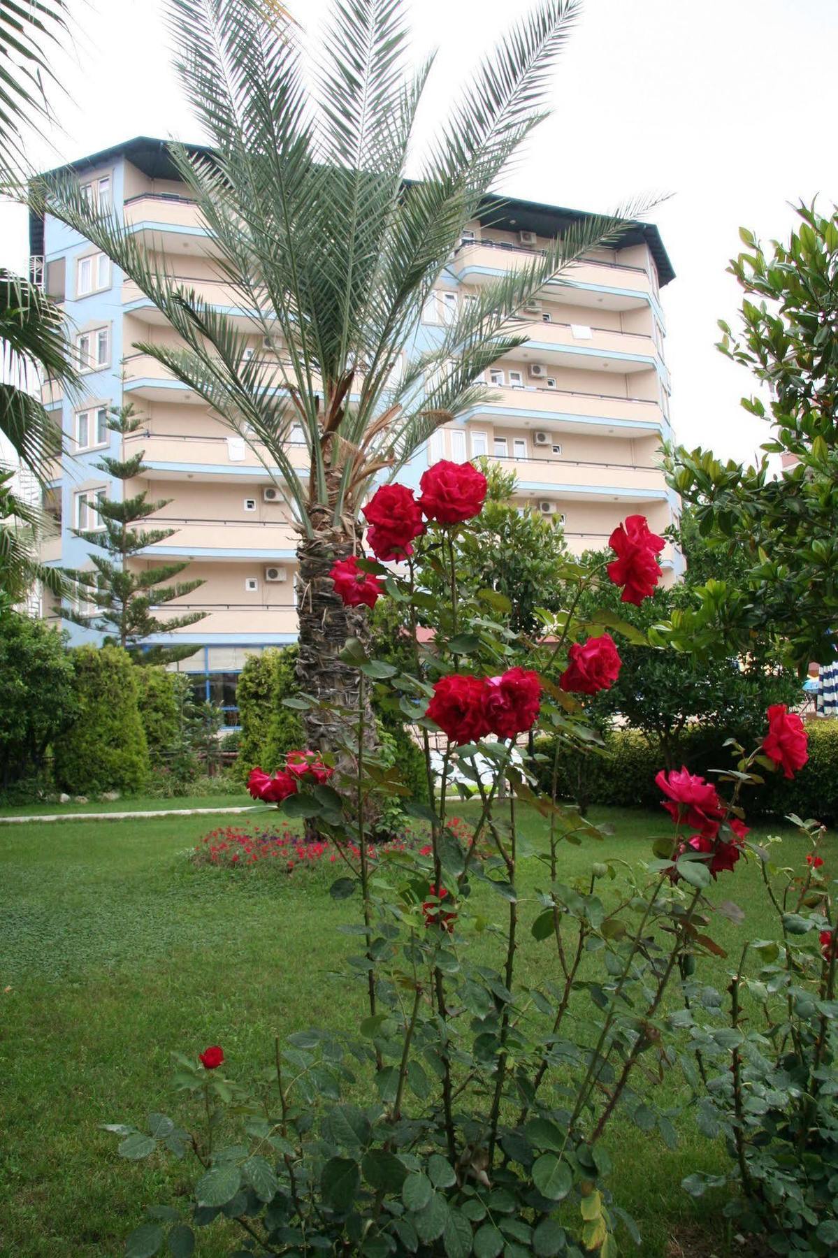 אלאניה Elysee Garden Family Hotel מראה חיצוני תמונה